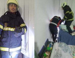 İTFAİYE EKİPLERİMİZDEN YOĞUN MESAİ: YANGIN SÖNDÜRÜLDÜ, CAN DOSTLAR KURTARILDI