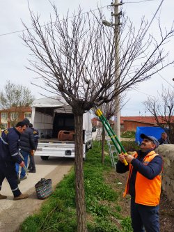 Ağaç, çim ve çevre bakımları hız kesmeden devam ediyor.