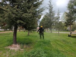 İlçemiz geneli çim biçme ve bakım onarım çalışmalarımız devam ediyor