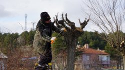 ŞUHUT İÇİN DURMADAN ÇALIŞIYORUZ