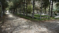 ŞUHUT ASRİ MEZARLIK BAYRAM ZİYARETLERİNE HAZIR