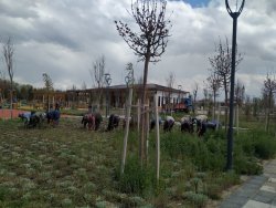 İlkbaharın gelişiyle birlikte  geniş kapsamlı bakım, onarım ve temizlik çalışmaları devam ediyor