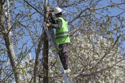 Belediye Başkanımız Muhittin Özaşkın’dan 11 Sokakta Fiber İnternet Altyapı Çalışması Talimatı