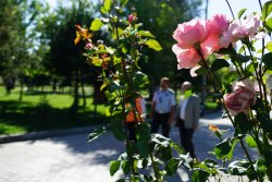 Şehit İbrahim Imış Parkı Gözümüz Gibi Bakmaya Devam Ediyoruz