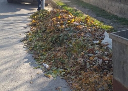 Sonbahar'da Çevre Temizlik ve Bakım Çalışmalarımız Devam Ediyor