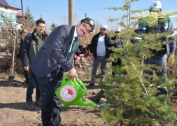 11 Kasım Milli Ağaçlandırma Günü