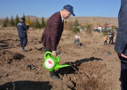 11 Kasım Milli Ağaçlandırma Günü