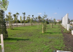 Şuhut Millet Bahçesinde 98.000 Fidan Toprakla Buluşuyor.