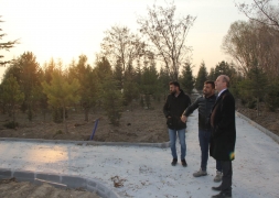 Vizyon  Proje Millet Bahçesi Tamamlanıyor