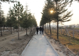 Vizyon  Proje Millet Bahçesi Tamamlanıyor