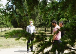 Şuhut Millet Bahçesinde Şubat’ta Hayat Başlıyor.