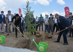 Şuhut Millet Bahçesinde ilk fidan toprakla buluştu