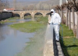 ŞUHUT'TA SİNEK,SİVRİSİNEK VE LARVA İLE MÜCADELE ARALIKSIZ SÜRÜYOR