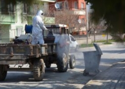 ŞUHUT'TA SİNEK,SİVRİSİNEK VE LARVA İLE MÜCADELE ARALIKSIZ SÜRÜYOR