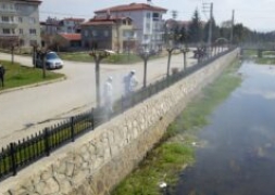 ŞUHUT'TA SİNEK,SİVRİSİNEK VE LARVA İLE MÜCADELE ARALIKSIZ SÜRÜYOR