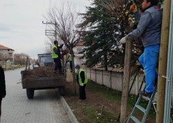 Mevsimsel Ağaç Budama Çalışmaları Devam Ediyor..