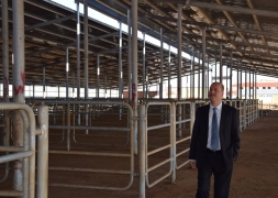 Şuhut Belediyesi Canlı Hayvan Pazarı Açılıyor.