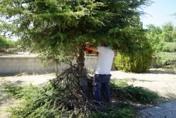 EKİPLERİMİZ OKULLARDA BAKIM ÇALIŞMASI YAPTI