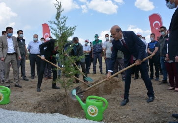 Şuhut Millet Bahçesinde ilk fidan toprakla buluştu