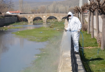ŞUHUT'TA SİNEK,SİVRİSİNEK VE LARVA İLE MÜCADELE ARALIKSIZ SÜRÜYOR