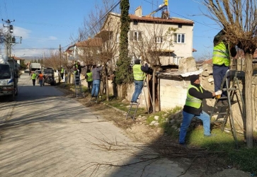 Mevsimsel Ağaç Budama Çalışmaları Devam Ediyor..