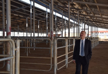 Şuhut Belediyesi Canlı Hayvan Pazarı Açılıyor.