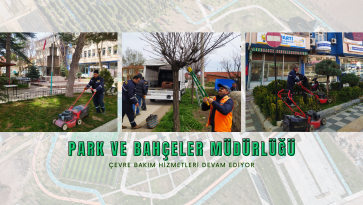 Ağaç, çim ve çevre bakımları hız kesmeden devam ediyor.