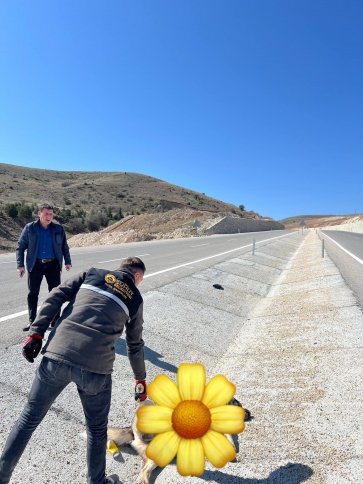 Bütün canlıları ve doğayı, sevip, yaşam ve ölüm hakkına saygı duyarak korumalıyız. 