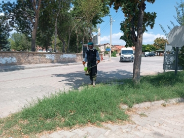  Şuhut Belediyesi Park ve Bahçeler Müdürlüğü'nden Yaz Dönemi Bakım Çalışmaları