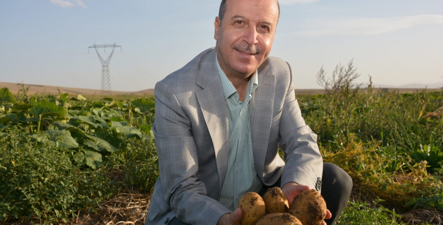 Şuhut Patatesi Tescillendi