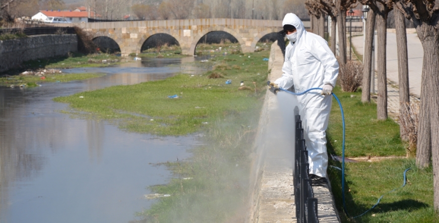 ŞUHUT'TA SİNEK,SİVRİSİNEK VE LARVA İLE MÜCADELE ARALIKSIZ SÜRÜYOR