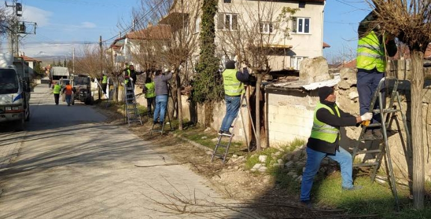 Mevsimsel Ağaç Budama Çalışmaları Devam Ediyor..